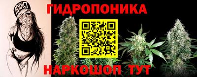 a pvp Малгобек