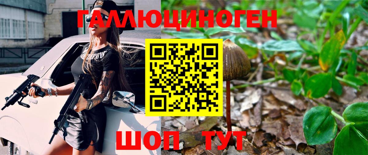 Галлюциногенные грибы мухоморы Тавда